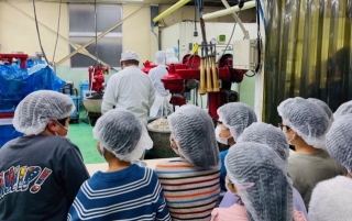 工場見学 11月15日かまぼこの日